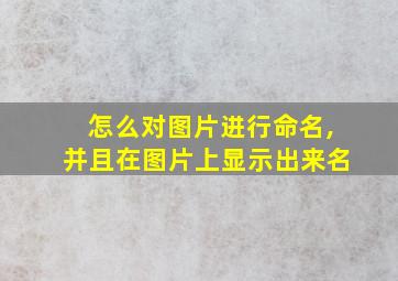 怎么对图片进行命名,并且在图片上显示出来名