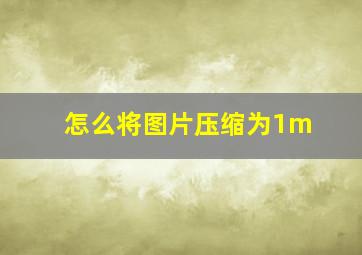 怎么将图片压缩为1m