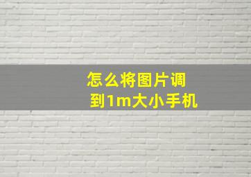 怎么将图片调到1m大小手机