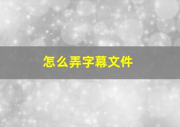 怎么弄字幕文件