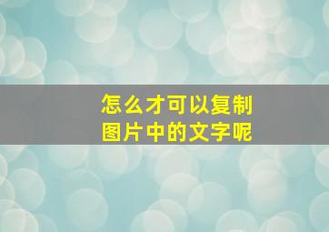 怎么才可以复制图片中的文字呢