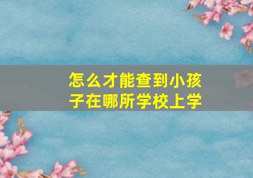 怎么才能查到小孩子在哪所学校上学