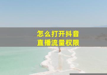 怎么打开抖音直播流量权限