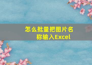 怎么批量把图片名称输入Excel