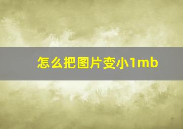 怎么把图片变小1mb