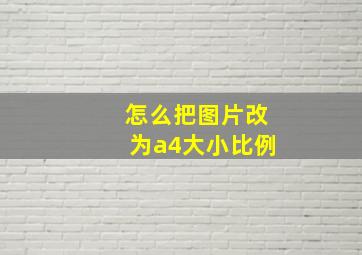 怎么把图片改为a4大小比例