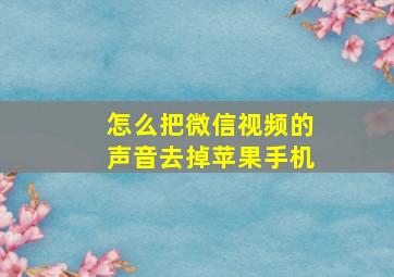 怎么把微信视频的声音去掉苹果手机