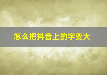 怎么把抖音上的字变大