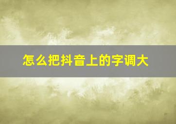 怎么把抖音上的字调大