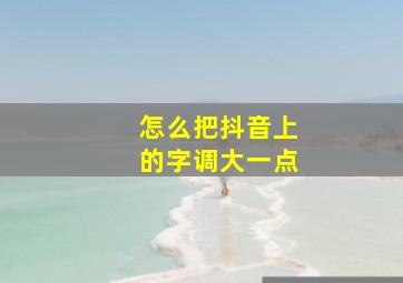 怎么把抖音上的字调大一点