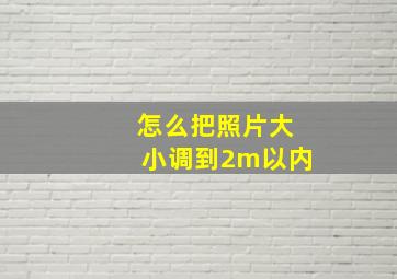 怎么把照片大小调到2m以内