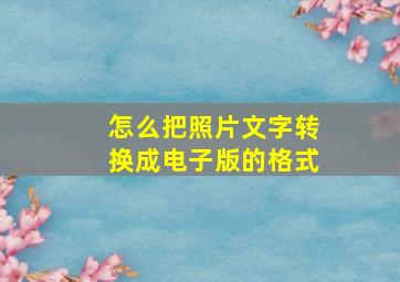 怎么把照片文字转换成电子版的格式