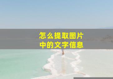 怎么提取图片中的文字信息