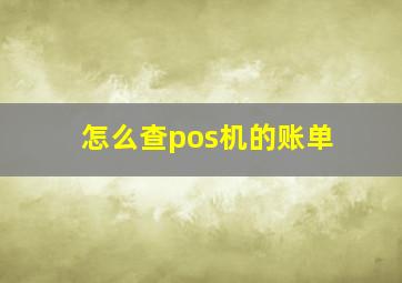 怎么查pos机的账单