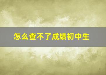 怎么查不了成绩初中生