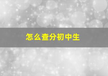 怎么查分初中生