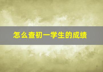 怎么查初一学生的成绩