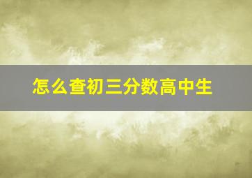 怎么查初三分数高中生