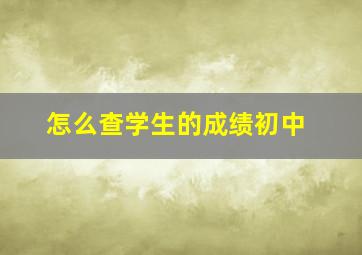 怎么查学生的成绩初中