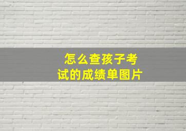 怎么查孩子考试的成绩单图片