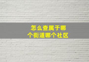 怎么查属于哪个街道哪个社区