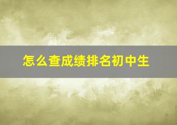 怎么查成绩排名初中生