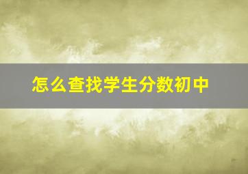 怎么查找学生分数初中