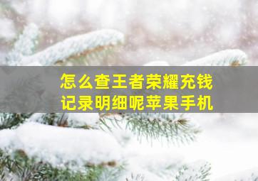 怎么查王者荣耀充钱记录明细呢苹果手机