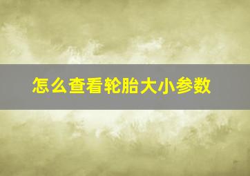 怎么查看轮胎大小参数