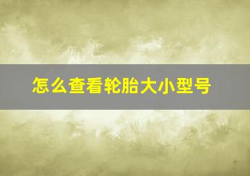 怎么查看轮胎大小型号