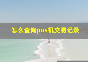 怎么查询pos机交易记录