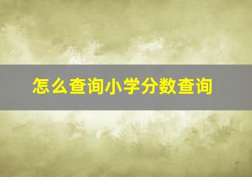 怎么查询小学分数查询