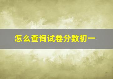 怎么查询试卷分数初一