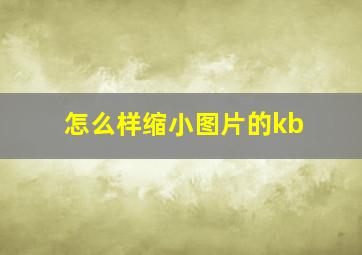 怎么样缩小图片的kb