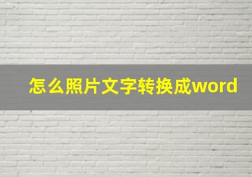 怎么照片文字转换成word