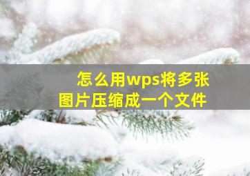 怎么用wps将多张图片压缩成一个文件