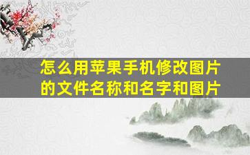 怎么用苹果手机修改图片的文件名称和名字和图片