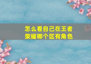 怎么看自己在王者荣耀哪个区有角色