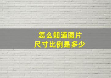 怎么知道图片尺寸比例是多少