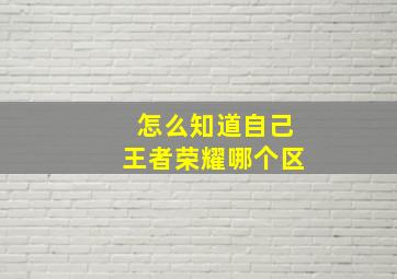 怎么知道自己王者荣耀哪个区