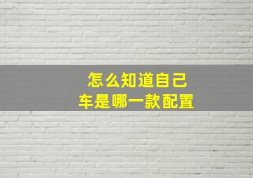 怎么知道自己车是哪一款配置