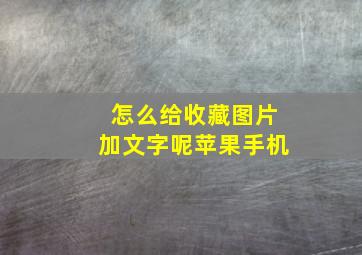 怎么给收藏图片加文字呢苹果手机