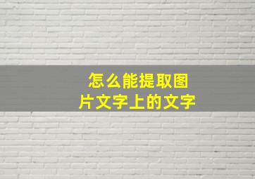 怎么能提取图片文字上的文字