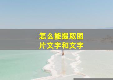 怎么能提取图片文字和文字