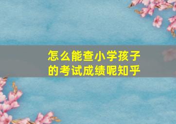 怎么能查小学孩子的考试成绩呢知乎