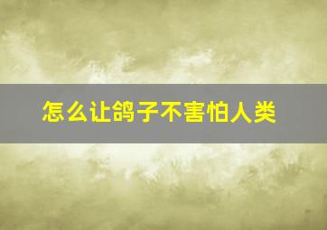 怎么让鸽子不害怕人类