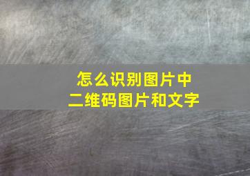 怎么识别图片中二维码图片和文字