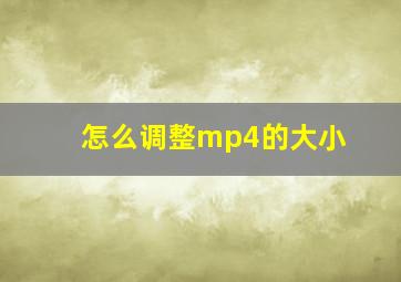 怎么调整mp4的大小