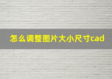 怎么调整图片大小尺寸cad