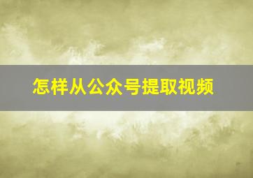 怎样从公众号提取视频